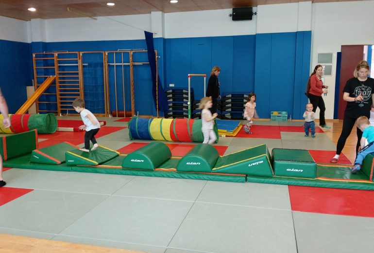 Nacionalna sokolska športna šola